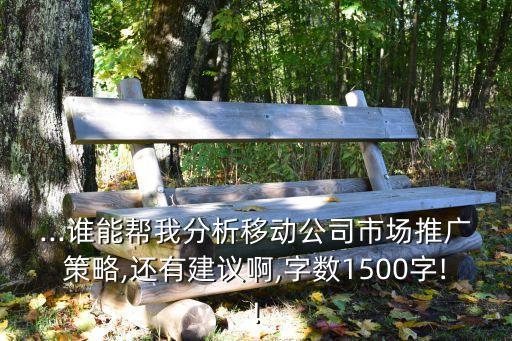 移動(dòng)公司在寬帶中國(guó)戰(zhàn)略實(shí)施方面的整改措施