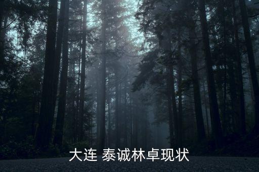 大連 泰誠林卓現狀