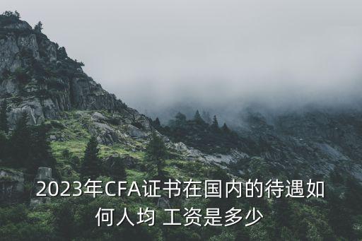 2023年CFA證書在國(guó)內(nèi)的待遇如何人均 工資是多少