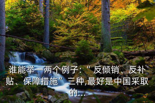 誰能舉一兩個例子:“ 反傾銷、反補貼、保障措施”三種,最好是中國采取的...