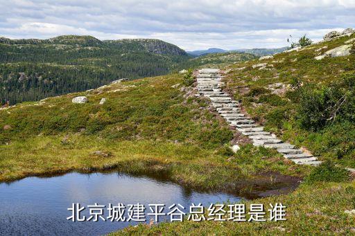 北京城建平谷總經理是誰