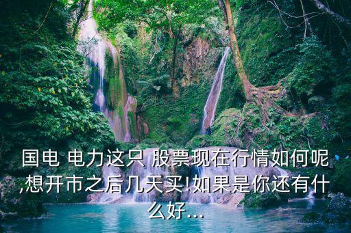 國(guó)電 電力這只 股票現(xiàn)在行情如何呢,想開(kāi)市之后幾天買(mǎi)!如果是你還有什么好...