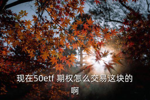 現(xiàn)在50etf 期權怎么交易這塊的啊