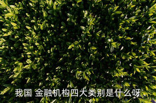 我國(guó) 金融機(jī)構(gòu)四大類別是什么呀