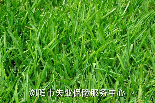 瀏陽(yáng)市失業(yè)保險(xiǎn)服務(wù)中心