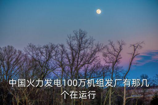 中國火力發(fā)電100萬機(jī)組發(fā)廠有那幾個在運(yùn)行