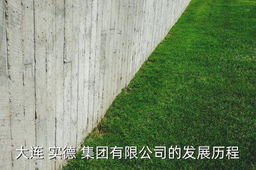 大連 實(shí)德 集團(tuán)有限公司的發(fā)展歷程