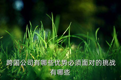  跨國公司有哪些優(yōu)勢必須面對(duì)的挑戰(zhàn)有哪些