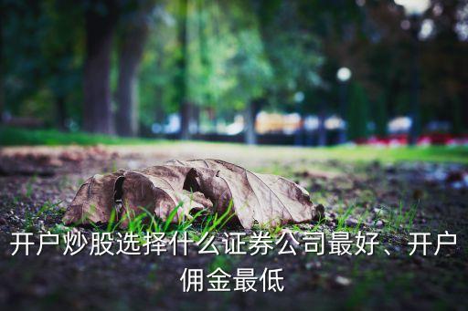 開(kāi)戶炒股選擇什么證券公司最好、開(kāi)戶傭金最低