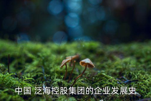 中國 泛?？毓杉瘓F(tuán)的企業(yè)發(fā)展史