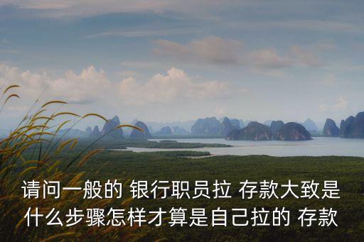 請(qǐng)問一般的 銀行職員拉 存款大致是什么步驟怎樣才算是自己拉的 存款