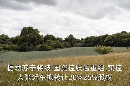 據悉蘇寧將被 國資控股后重組:實控人張近東擬轉讓20%25%股權