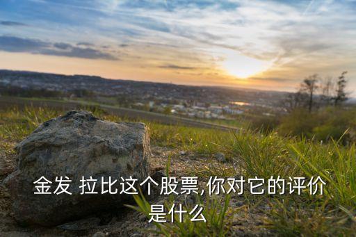  金發(fā) 拉比這個股票,你對它的評價是什么