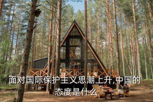面對國際保護(hù)主義思潮上升,中國的 態(tài)度是什么