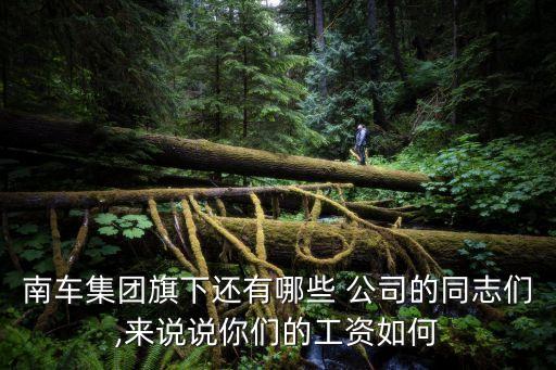 南車(chē)集團(tuán)旗下還有哪些 公司的同志們,來(lái)說(shuō)說(shuō)你們的工資如何