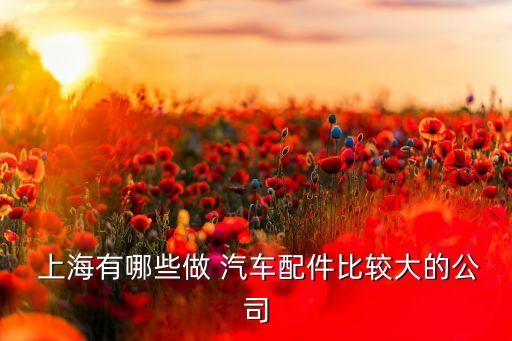 上海岱美汽車(chē)零部件有限公司地址