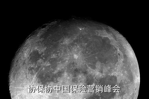 中保協保協中國保險營銷峰會