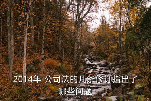 2014年 公司法的幾條修訂指出了哪些問(wèn)題