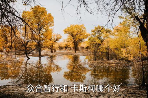 卡斯科信號公司,上?？ㄋ箍菩盘柟?/></a></span><span id=