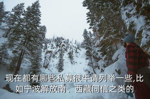 現(xiàn)在都有哪些私募很牛請列舉一些,比如寧波解放南、西藏同信之類的