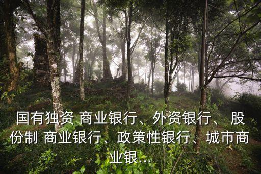國(guó)有獨(dú)資 商業(yè)銀行、外資銀行、 股份制 商業(yè)銀行、政策性銀行、城市商業(yè)銀...