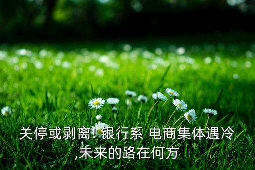 關(guān)?；騽冸x! 銀行系 電商集體遇冷,未來(lái)的路在何方