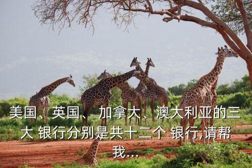 美國(guó)、英國(guó)、 加拿大、澳大利亞的三大 銀行分別是共十二個(gè) 銀行,請(qǐng)幫我...