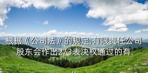 根據(jù)《公司法》的規(guī)定,有限責(zé)任公司 股東會(huì)作出2/3表決權(quán)通過(guò)的有...