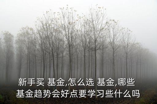 新手買(mǎi) 基金,怎么選 基金,哪些 基金趨勢(shì)會(huì)好點(diǎn)要學(xué)習(xí)些什么嗎