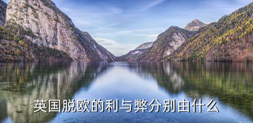 在歐盟的跨國公司,歐盟的跨國公司有什么特點(diǎn)