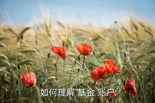 基金交易賬戶和基金賬戶的區(qū)別,醫(yī)保賬戶與醫(yī)?；鹳~戶區(qū)別