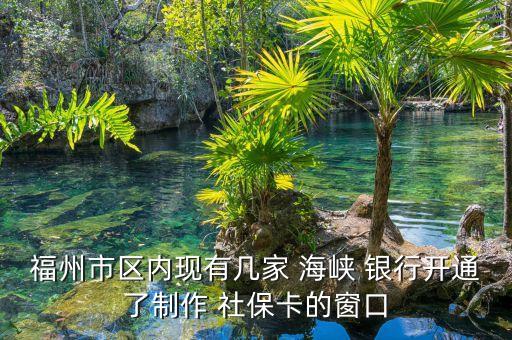 福州市區(qū)內現有幾家 海峽 銀行開通了制作 社?？ǖ拇翱? class=