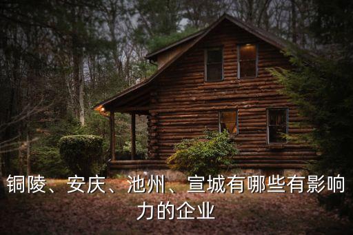 銅陵、安慶、池州、宣城有哪些有影響力的企業(yè)