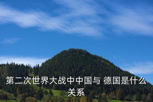 第二次世界大戰(zhàn)中中國(guó)與 德國(guó)是什么關(guān)系
