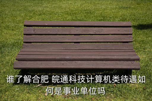 誰(shuí)了解合肥 皖通科技計(jì)算機(jī)類待遇如何是事業(yè)單位嗎