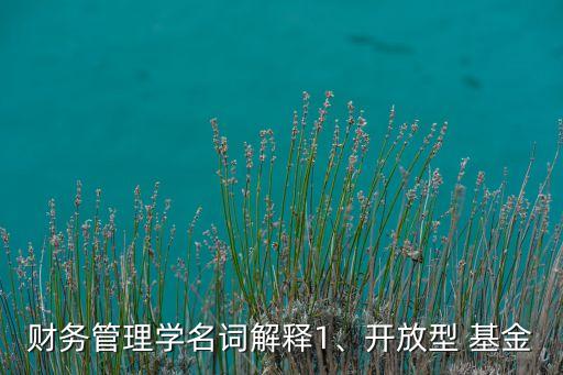 財(cái)務(wù)管理學(xué)名詞解釋1、開(kāi)放型 基金
