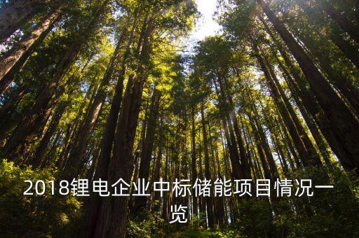 2018鋰電企業(yè)中標(biāo)儲能項目情況一覽