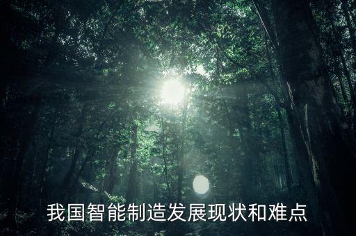 我國(guó)智能制造發(fā)展現(xiàn)狀和難點(diǎn)