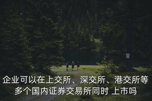 企業(yè)可以在上交所、深交所、港交所等多個(gè)國內(nèi)證券交易所同時(shí) 上市嗎