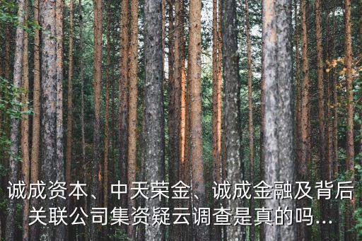誠成資本、中天榮金、誠成金融及背后關(guān)聯(lián)公司集資疑云調(diào)查是真的嗎...