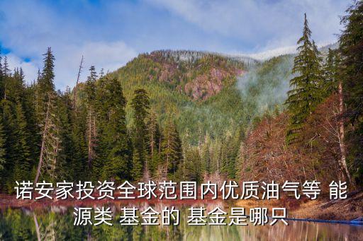 諾安家投資全球范圍內(nèi)優(yōu)質(zhì)油氣等 能源類(lèi) 基金的 基金是哪只