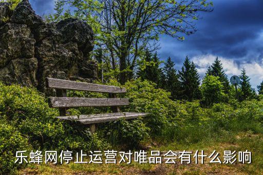  樂蜂網(wǎng)停止運(yùn)營對(duì)唯品會(huì)有什么影響