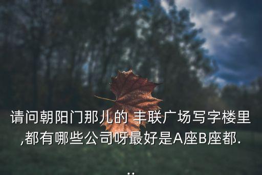請(qǐng)問朝陽門那兒的 豐聯(lián)廣場寫字樓里,都有哪些公司呀最好是A座B座都...