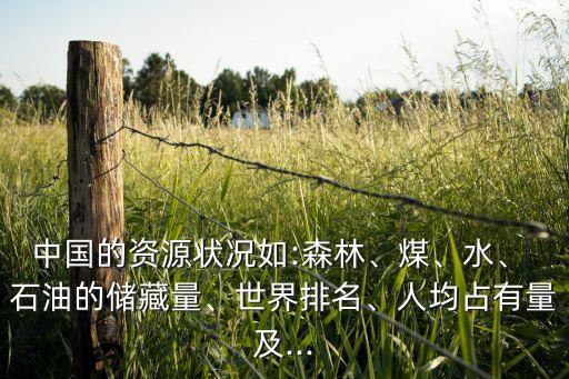 中國的資源狀況如:森林、煤、水、 石油的儲藏量、世界排名、人均占有量及...