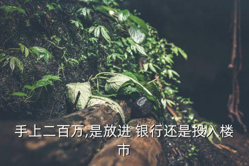 手上二百萬(wàn),是放進(jìn) 銀行還是投入樓市