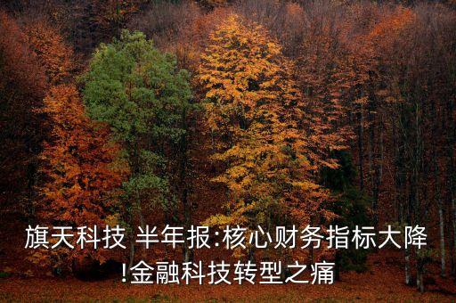 旗天科技 半年報(bào):核心財(cái)務(wù)指標(biāo)大降!金融科技轉(zhuǎn)型之痛