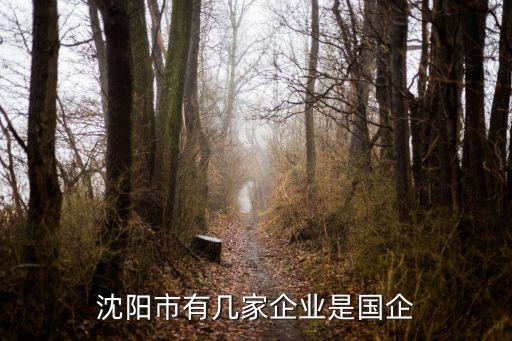 鼓風機集團股份有限公司,沈陽鼓風機集團股份有限公司待遇怎么樣