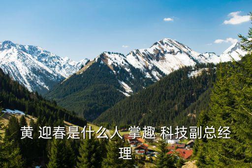 黃 迎春是什么人 掌趣 科技副總經理