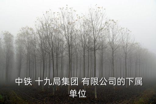  中鐵 十九局集團 有限公司的下屬單位