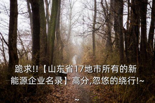 依蘭凱迪綠色能源開(kāi)發(fā)有限公司,霍山縣凱迪綠色能源開(kāi)發(fā)有限公司
